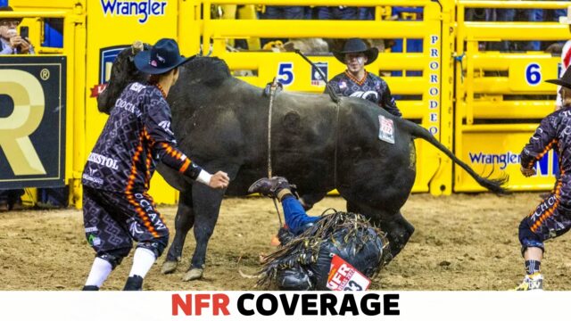 Bull Rider Injured at Nfr: The Grit, The Pain, The Comeback