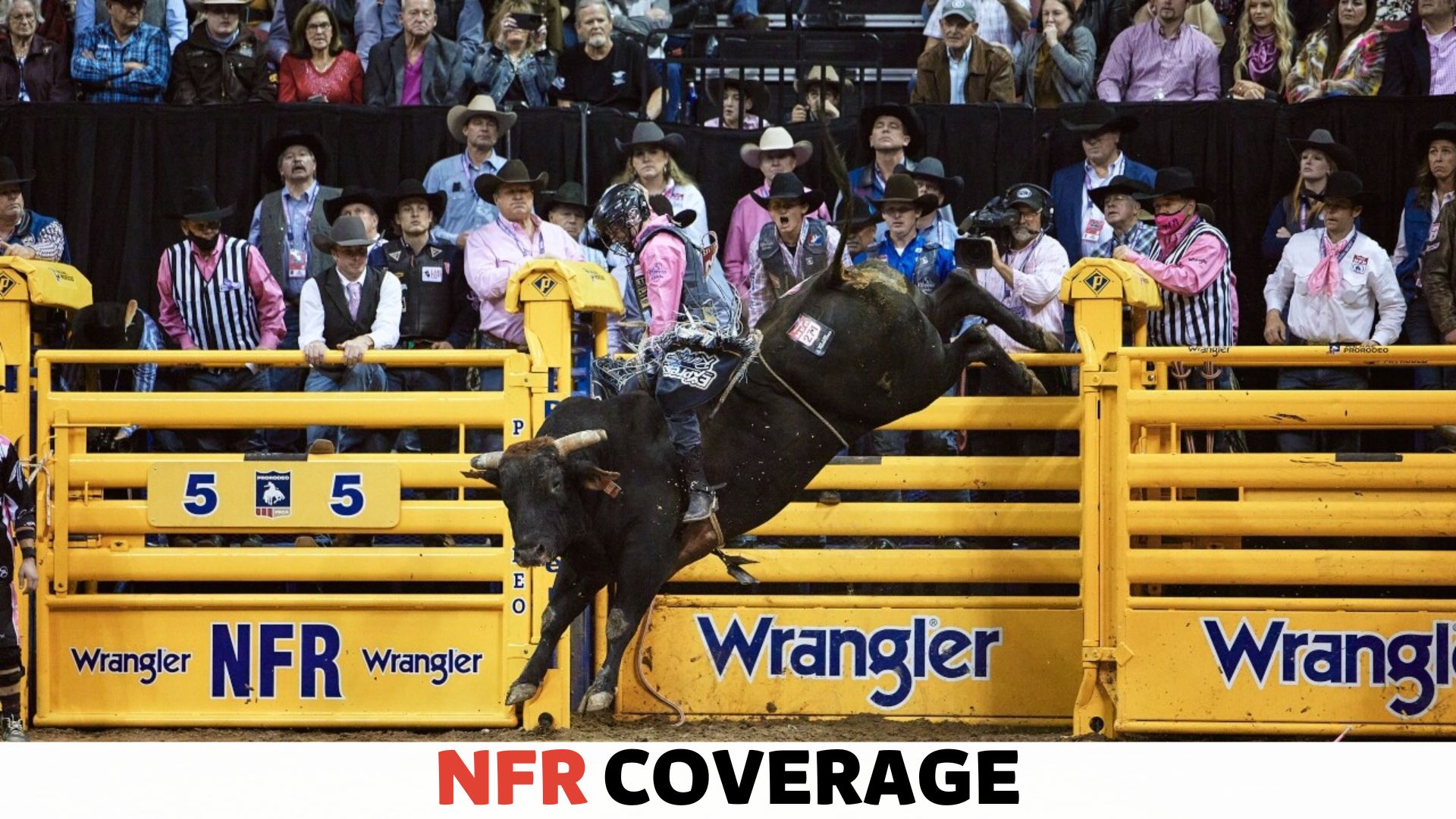 How Much Do Stock Contractors Make at Nfr