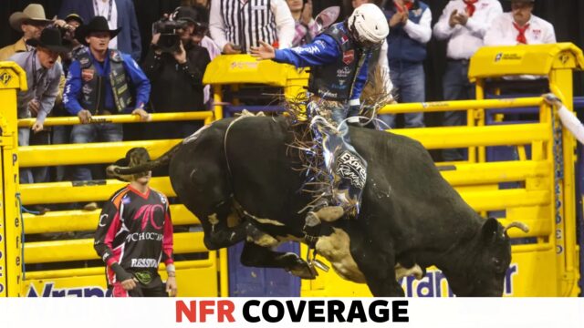 What are the Yellow Scarves for at the Nfr